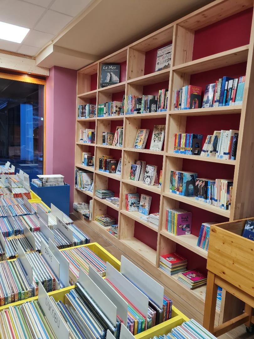 un rayonnage de livres à la bibliothèque de la clusaz